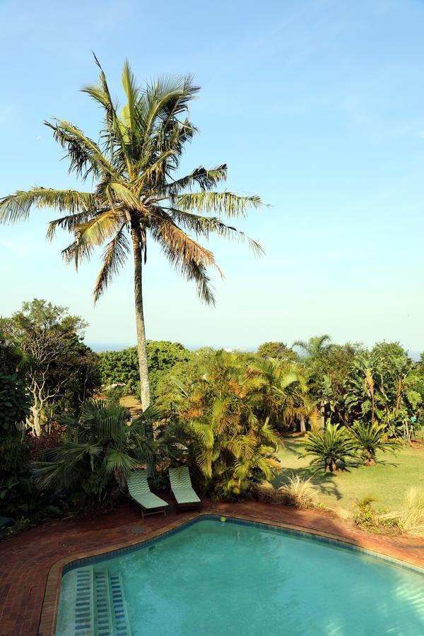 Guest house Kingston Place 4*